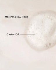 Palo Santo Curl Mousse